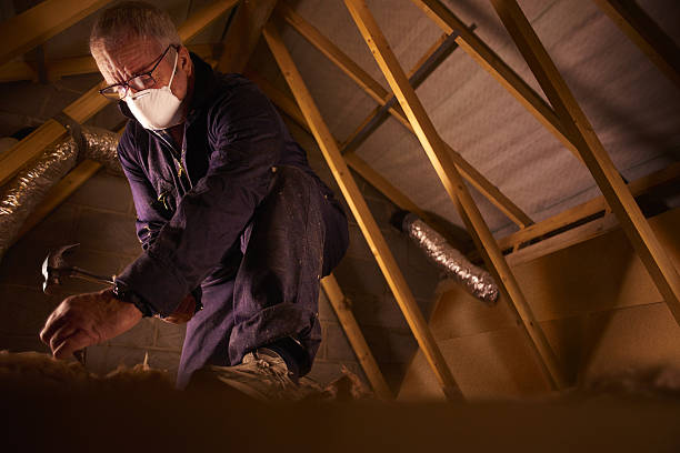 Types of Insulation We Offer in Haubstadt, IN